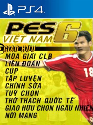 PES 6