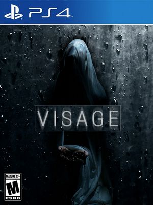 VISAGE